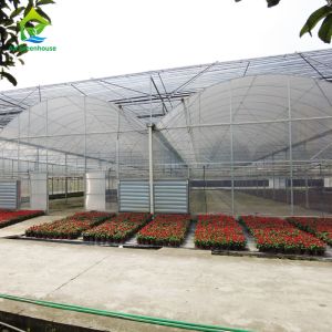 China Strawberry Tomato Cucumber Growing Plastic Film Greenhouse For Commercial wholesale