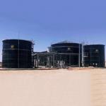 Biogas From Napier Grass Biogas Plant From Waste