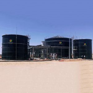 Biogas Generation Bio CNG Gas Plant From Sewage Treatment Plant