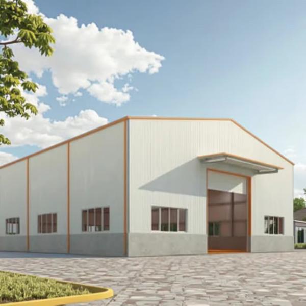 Custom Prefab Steel Structure Building Metal Storage Buildings 1000kg-6000kg Loading