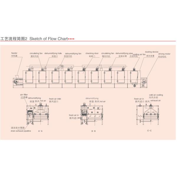 525kg/H Sea Tangle Coconut Dryer Conveyor Mesh Belt Dryer Machine For Gulfweed Sargassum