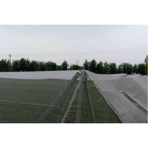 Single Thread Agricultural Insect Netting / Insect Screen Roll UV Stabilized
