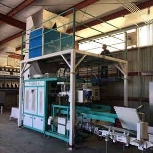 China 25kg Beans Granular Automatic Bagger Machine wholesale