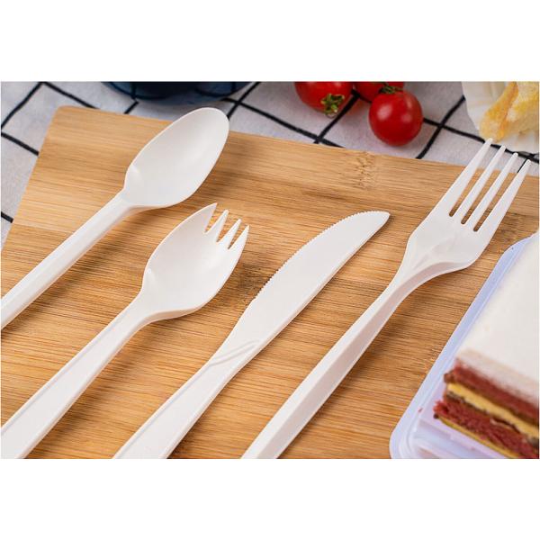 Compostable Disposable PLA Bioplastic Spoons Bulk Utensils 5.7 Inch