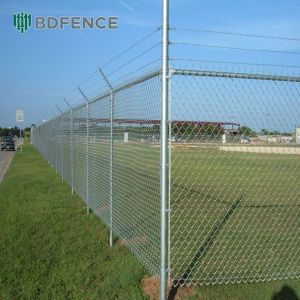 Airport Grade Chain Link Fence Wildlife Deterrent