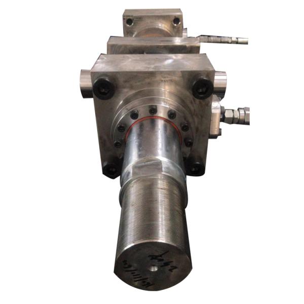 Custom 160mm Hydraulic Cylinder 110mm Rod 600mm Stroke