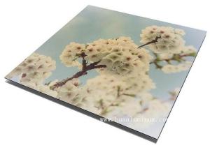 China UV Resistant Signage Aluminum Composite Panel , 2000mm ACM Sign Board wholesale