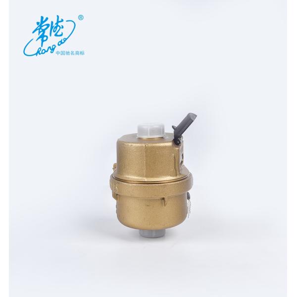 DN15 DN20 Volumetric Brass Cold Water Meter R160