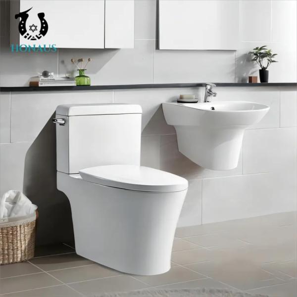 Modern Hotel Two Piece Toilet Bowl Elongated 305mm S Trap Floor Mounted Wc