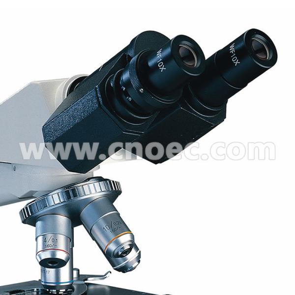 University Student Biological Microscope Polarizing Microscopes , CE Rohs A11.0208