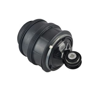 China TS15949 Mercedes W211 Rear Air Spring Replacement 2113200925 wholesale