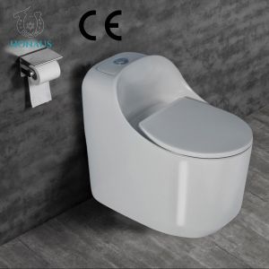 Bathroom Soft Close Modern One Piece Toilet Bowl Customizable