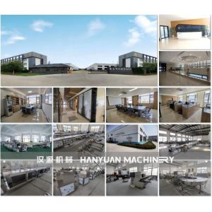 Dongtai Hanyuan Food Machinery Manufacturing Co., Ltd.