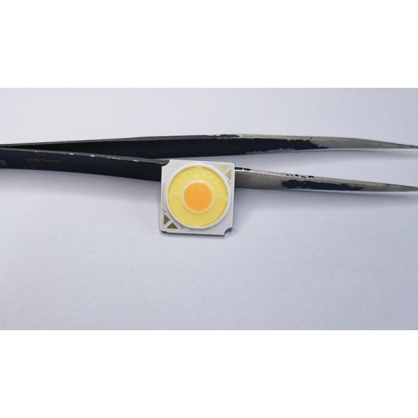 8W*2 Dual Color Tunable COB LED 6500K 2000K 19*19 OEM ODM Service