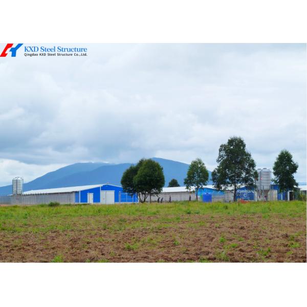 Automatic Harvesting Broiler Cage Steel Poultry Houses