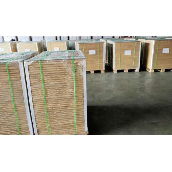 Newsprint In Reel Paper 45gsm 48.8gsm Newsprint In Reel Paper Size 350mm 400mm 420mm 594mm 620mm