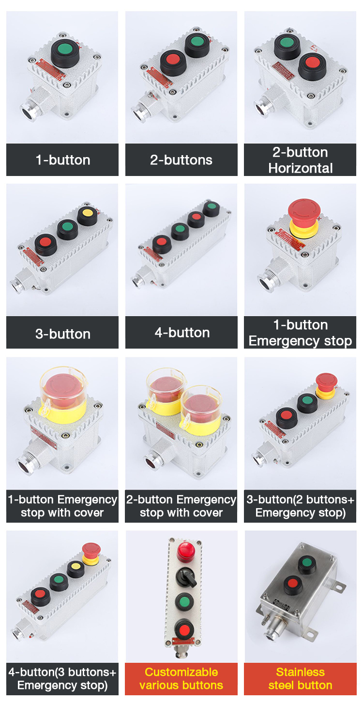 Explosion Proof Control Button with Green Light WF1 Grade