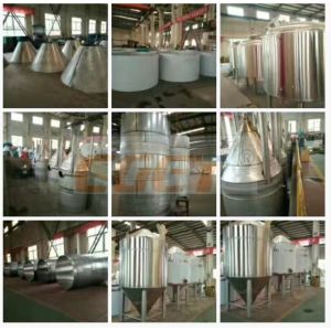 20 Bbl Fermenter Stainless Steel Tank Industrial Beer Brewing Equipment
