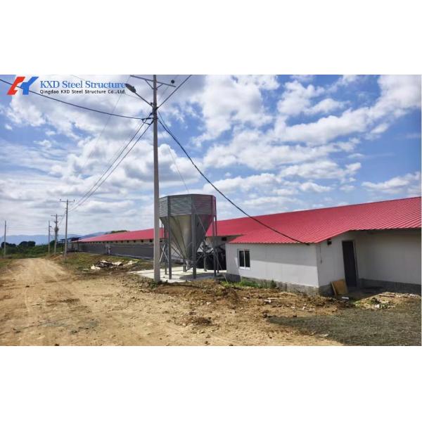 Automatic Broiler Cage Steel Poultry Houses Easy Chicken Out