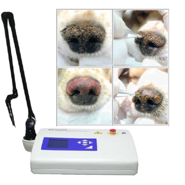 10600nm Veterinary Co2 Laser Wart Removal Surgical 15w Device For Dogs