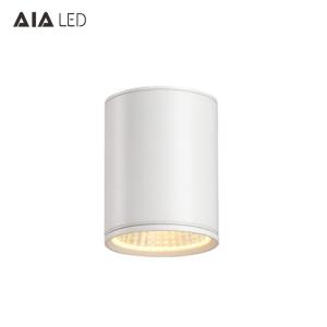 China Exteriror dimmable 30w led downlight&outdoor led downlight&ip65 surface mount led downlight for hotel on sale