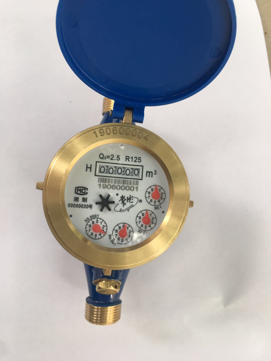 20mm Rotary Vane Wheel Dry Dial Cold Water Meter MID OIML Certified R125 R160