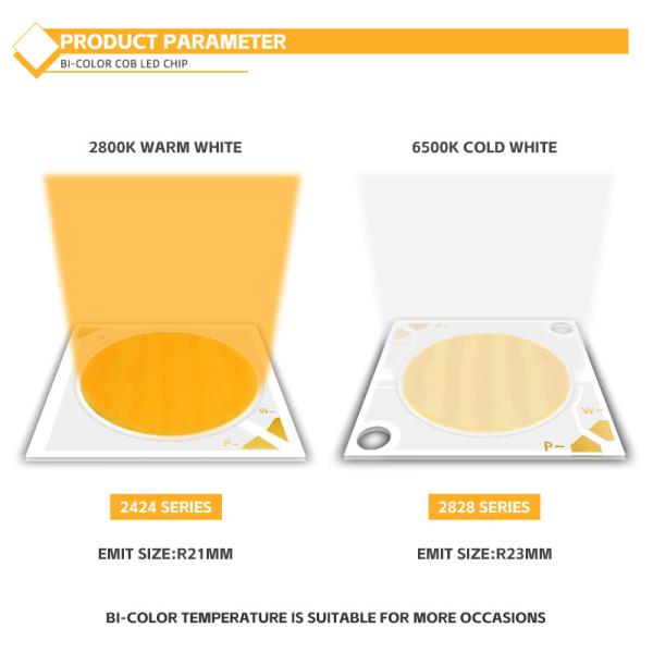 Customised Aluminum Material COB Chip 2424 in White Blue Red & Green High Brightness China Factory