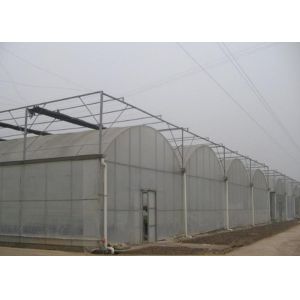 Complete Multi Span Plastic Film Greenhouse With Heating / Cooling System