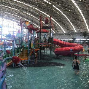 Customized Splash Water Playground Outdoor Fiberglass Water Slides