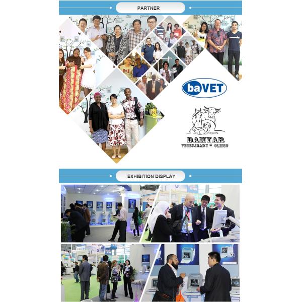 Portable 3D 4D Color Doppler USG&Sonoscape S9