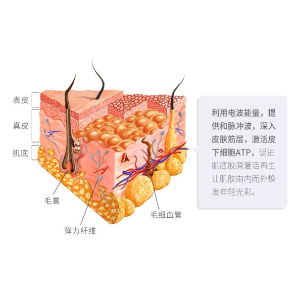 Mini Radio Frequency EMS Dark Circle Removal Machine Home Dark Eye Remover