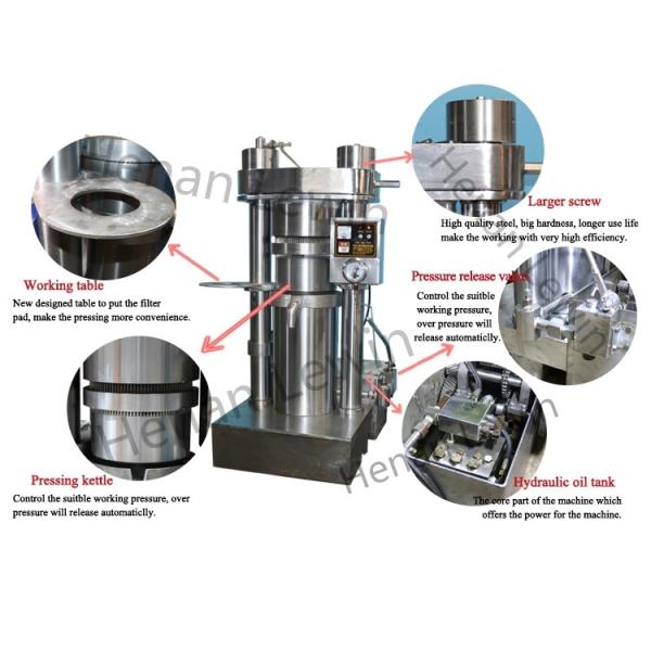 Fully Automatic Cold Press Hydraulic Oil Presser 60Mpa Commercial Edible Oil Making Machinery Industrial Sesame Coconut Oil Extraction Machine