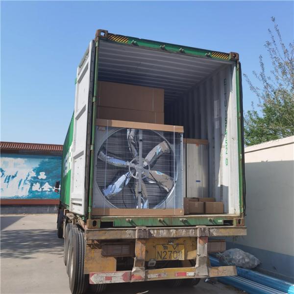 Negative Pressure Cooling Equipment Greenhouse 1000 Cfm 5000 Cfm 50 Inch Exhaust Fan