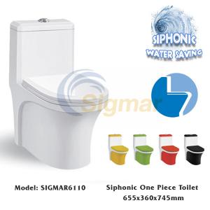 China SIGMAR6110 Best Suppilers Cheap One Piece Toilet WC Toilet Price Of Toilet Bowl wholesale