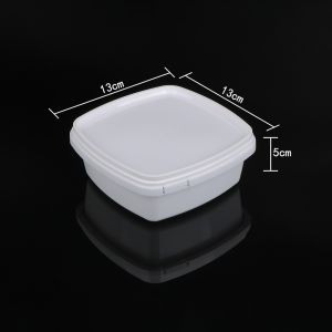 Heatable Square Household Large Capacity Food Crisper Container Box