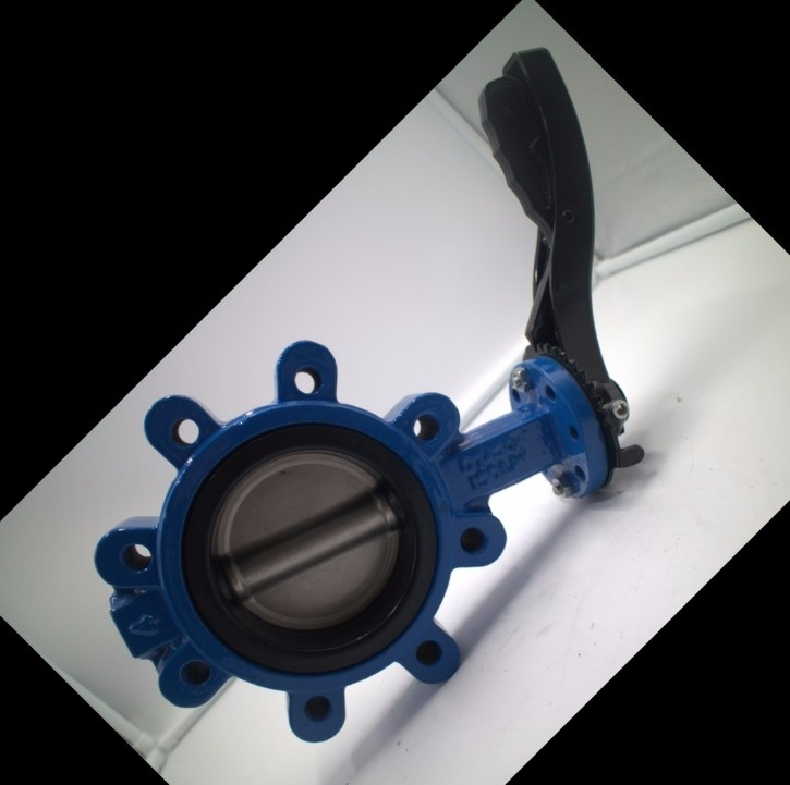 JIS 5K 10K cast iron butterfly valve