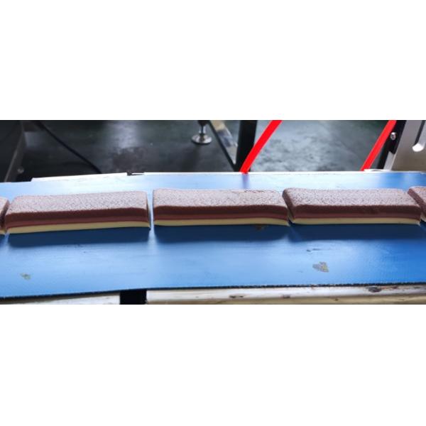 Precision Three-Layer Protein / Energy Bar Production Machine