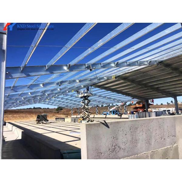 Construction Prefab Steel Structure Piggery Farm House / Steel Structure Cow Shed