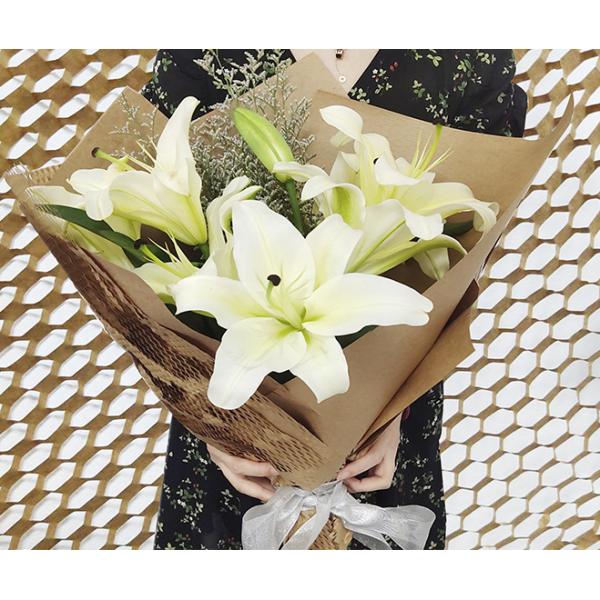 80gsm 90gsm Brown Honeycomb Stretch Wrapping Paper For Express Packaging 80gsm 90gsm Brown Honeycomb Stretch Wrapping Paper For Express Packaging