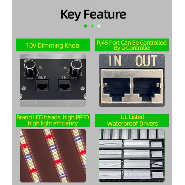 Factory Two Channels Dimmable Foldable 1600W Samsong LM301H 281B EVO Led Grow Light Bar with UV IR