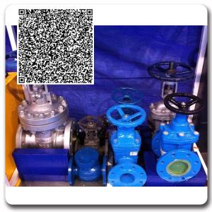 China New light-duty lead free forged brass female npt ball valves with CSA NSF61 wholesale
