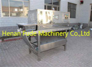 Chain plate garlic peeling machine，garlic peeling machine