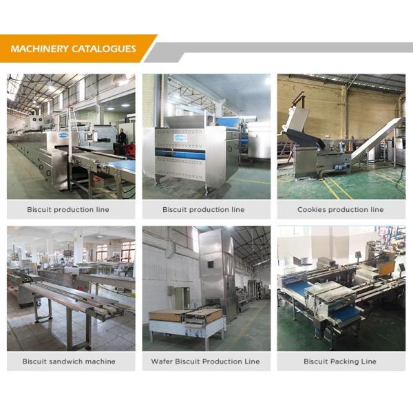 Schneider Transducer Custom Packaging Solutions Biscuit Wrapping Machine