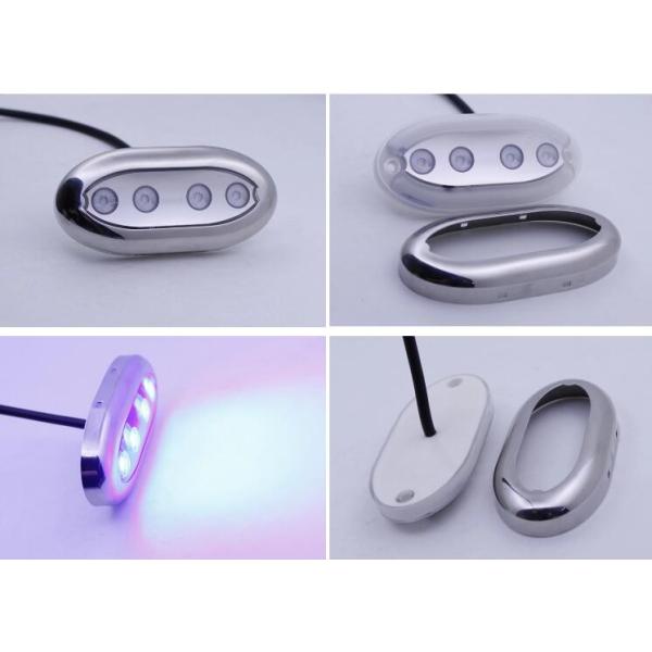 316 Stainless Steel Oval Marine Underwater LED Accent Courtesy Light Rock Light