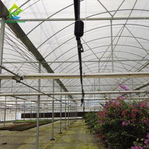 Strawberry Tomato Cucumber Growing Plastic Film Greenhouse For Commercial