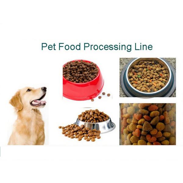 China Supplier Pet Dog Fish Snack Dry Pet Food Production Line