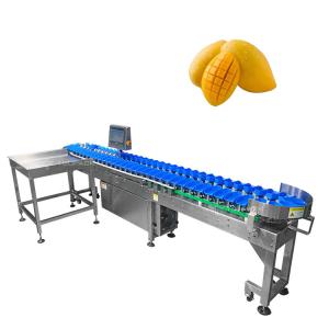China Stainless Steel 304 Automatic Size Sorting Machine For Mango Fruit Vegetables Grading on sale