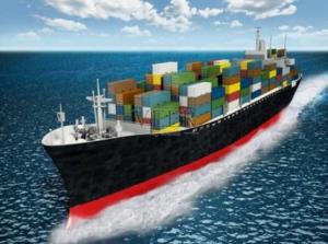 China China To US Ocean Freight Forwarders Lcl Sea Freight DDP DDU wholesale
