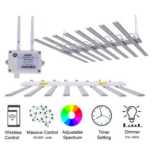 China High Efficiency Energy Saving Grow Lights , 650W Horticulture Led Lights wholesale