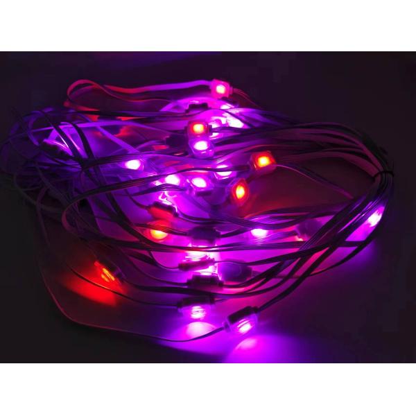 Decoration building 24V String Point Smart Eaves Lighting Holiday Ambilight 100ft RGBIC LED Permanent Eaves Light